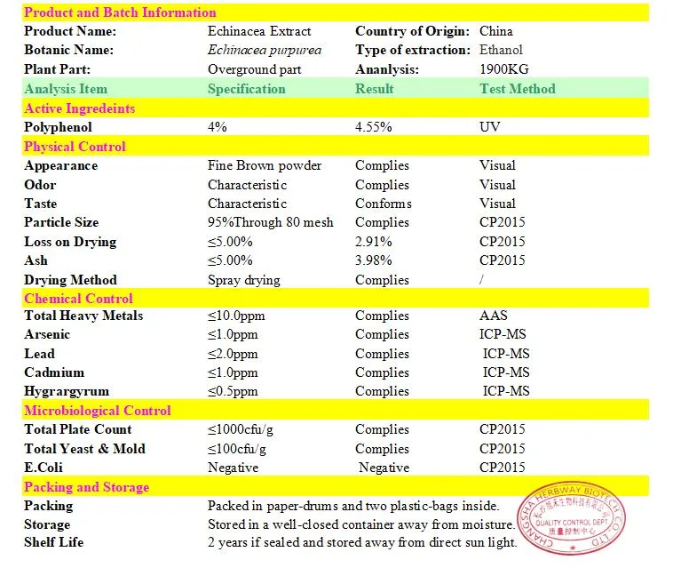 Herbway Plant Extract Powder Echinacea Purpurea Chicoric Acid Echinacea Milk Thistle Silymarin Artichoke Leaf Cynarin Extract for Health Care