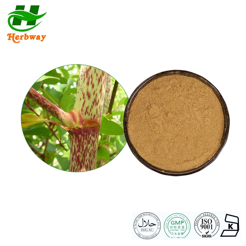 Herbway Kosher Halal Fssc HACCP Certified Polygonum Cuspidatum Rheum Emodin Resveratrol Plant Extract