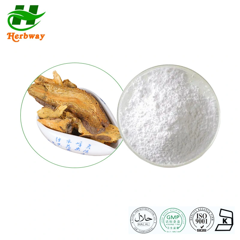 Herbway Kosher Halal Fssc HACCP Certified Polygonum Cuspidatum Extract Natural Supplements Resveratrol Powder Plant Extract