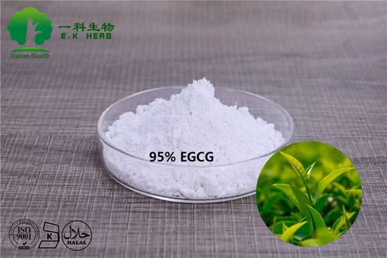 Massima qualità: 10-98% polifenoli/10-80% catechine, 10-95% estratto di tè verde EGCG