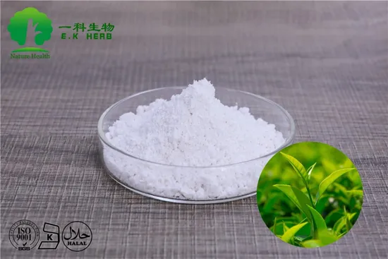 Estratto di tè verde biologico in polvere 84650-60-2 con 10-98% di polifenoli del tè