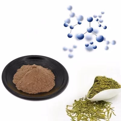 Estratto di tè verde, EGCG, estratto di erbe, polifenoli del tè
