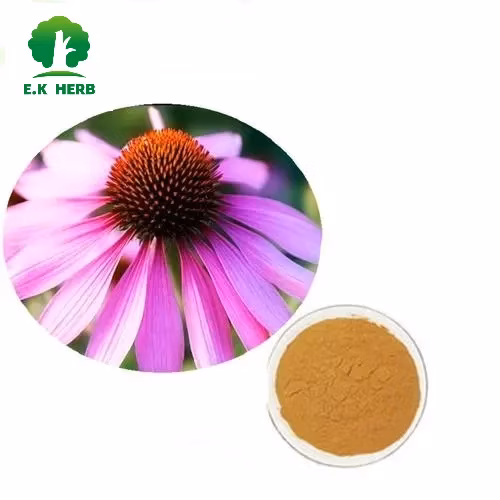 Estratto vegetale in polvere, Echinacea Purpurea, Acido cicorico, Echinacea, Cardo mariano, Silimarina, Foglia di carciofo, Estratto di cinarina